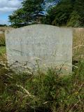 image of grave number 113003